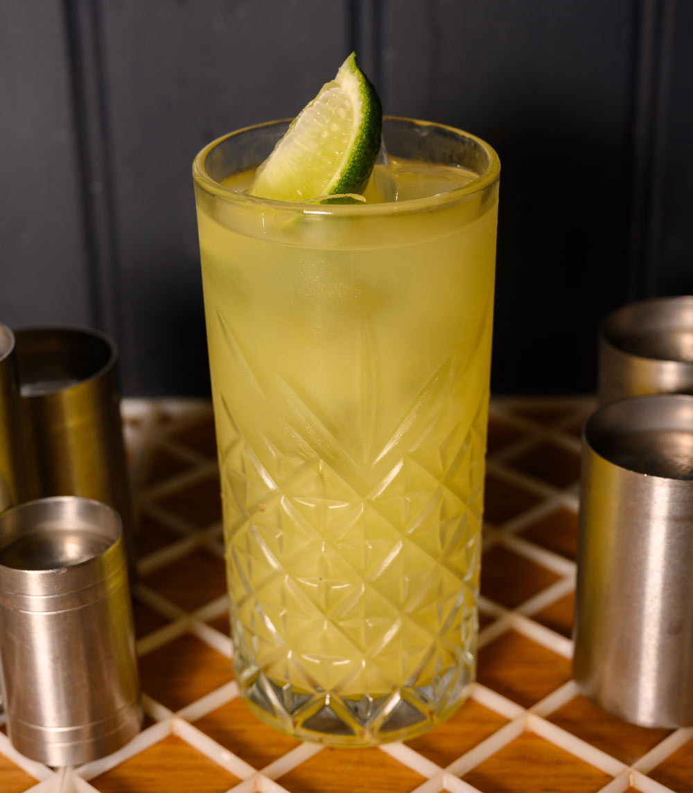 Asian Mule